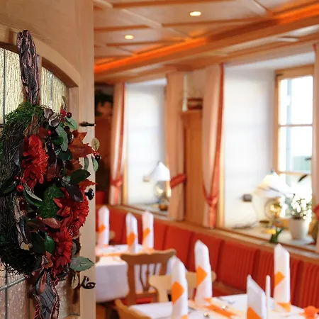 Hotel Engel 2*
