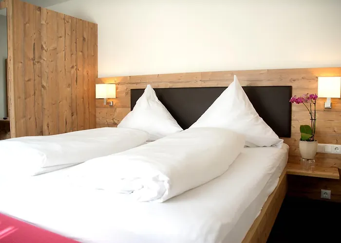 Engel Hotel 2*